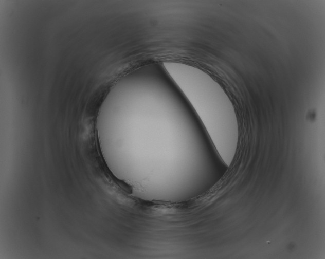 X0000096630284200802050941