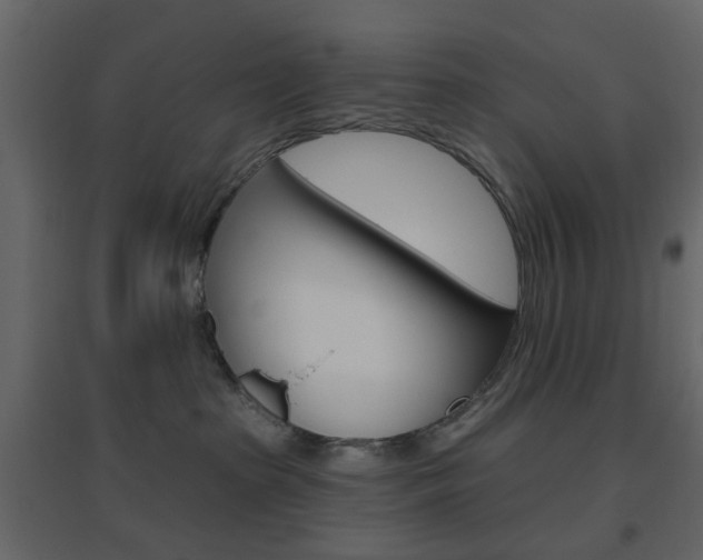 X0000096630285200802050941