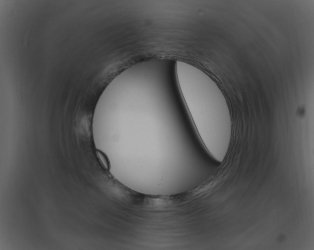 X0000096630286200802050942