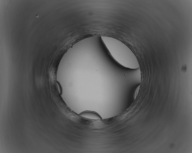 X0000096630287200802050942