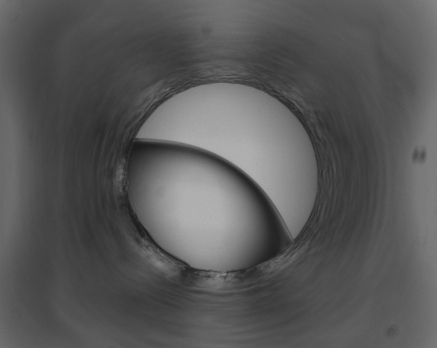 X0000096630288200802050942
