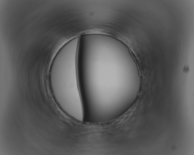 X0000096630289200802050941