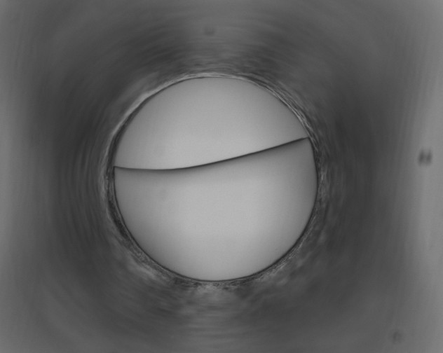 X0000096630290200802050941