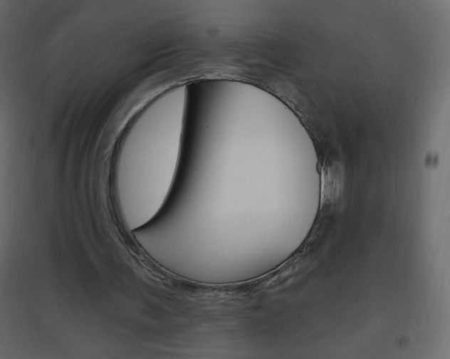 X0000096630291200802050941