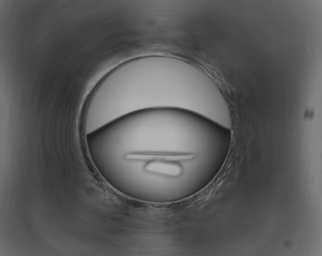 X0000096630292200802050941