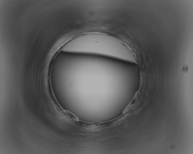 X0000096630293200802050941
