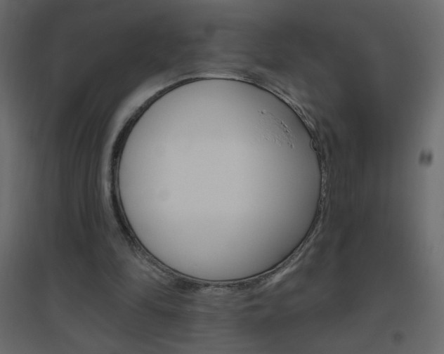 X0000096630294200802050941