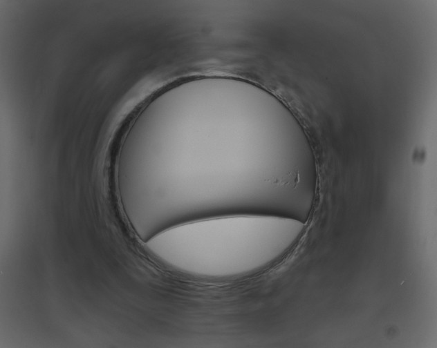 X0000096630295200802050941