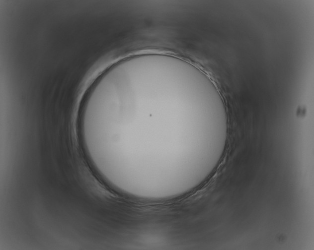 X0000096630296200802050941