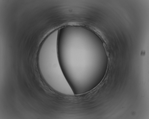 X0000096630297200802050941