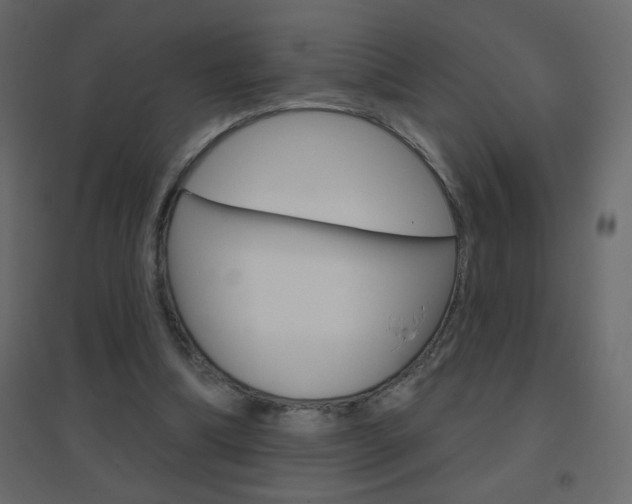 X0000096630298200802050941