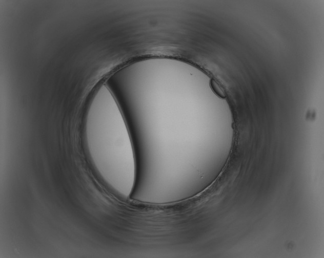 X0000096630299200802050941