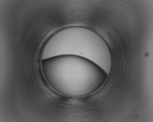X0000096630300200802050941