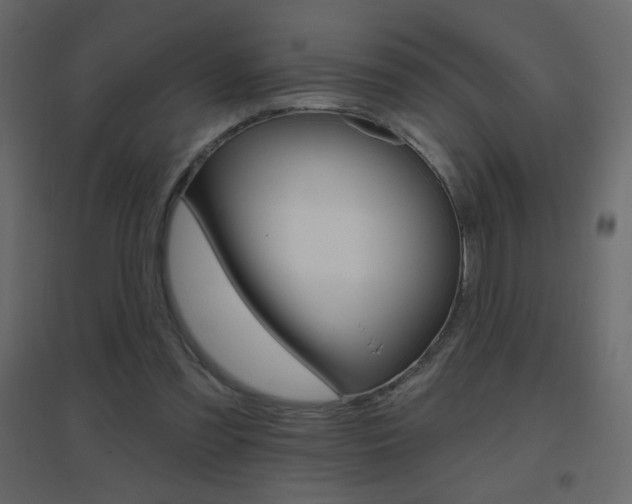 X0000096630301200802050941