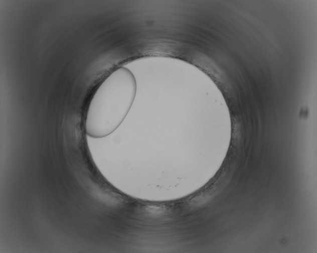X0000096630302200802050941
