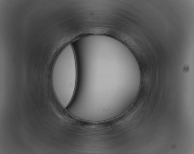 X0000096630303200802050941