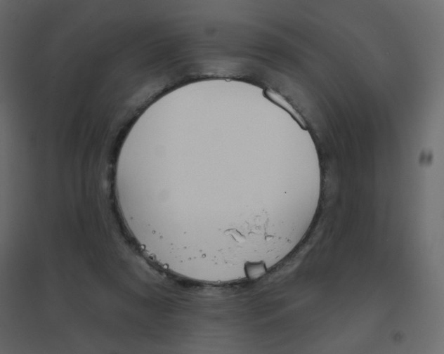 X0000096630305200802050940