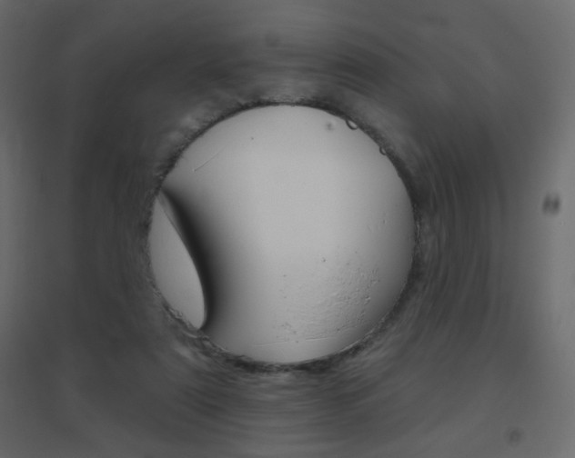 X0000096630307200802050940