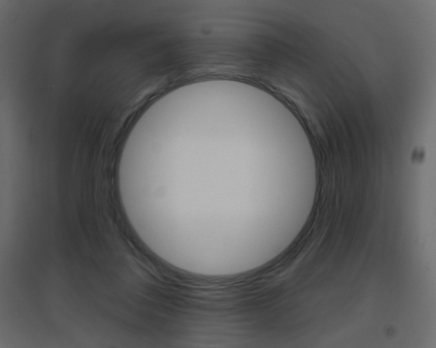 X0000096630308200802050940