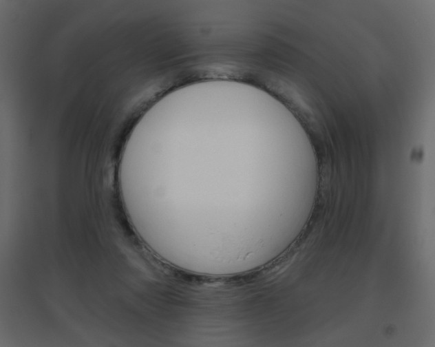 X0000096630310200802050940