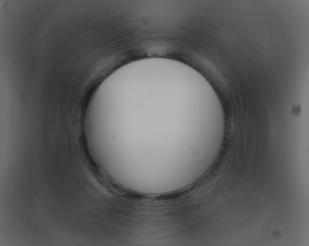 X0000096630311200802050940