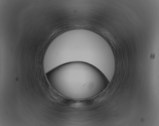 X0000096630312200802050940