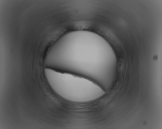 X0000096630315200802050940