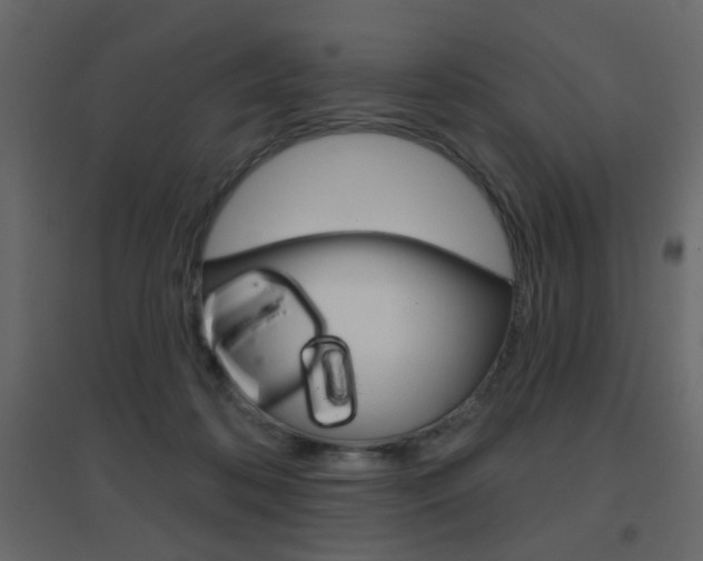 X0000096630316200802050940
