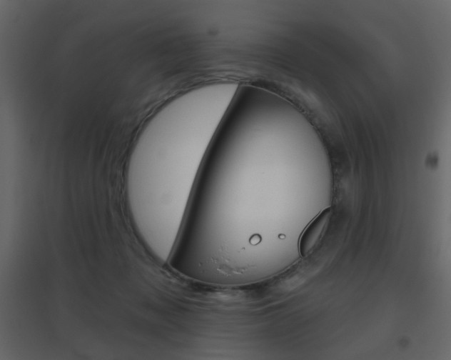 X0000096630317200802050940