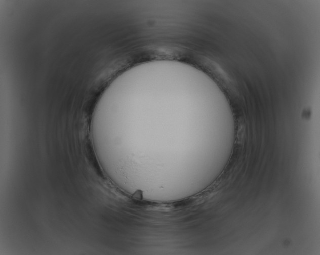 X0000096630318200802050940