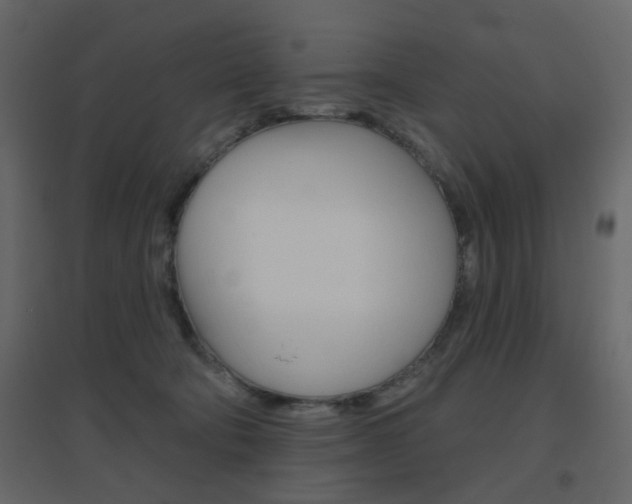 X0000096630322200802050940