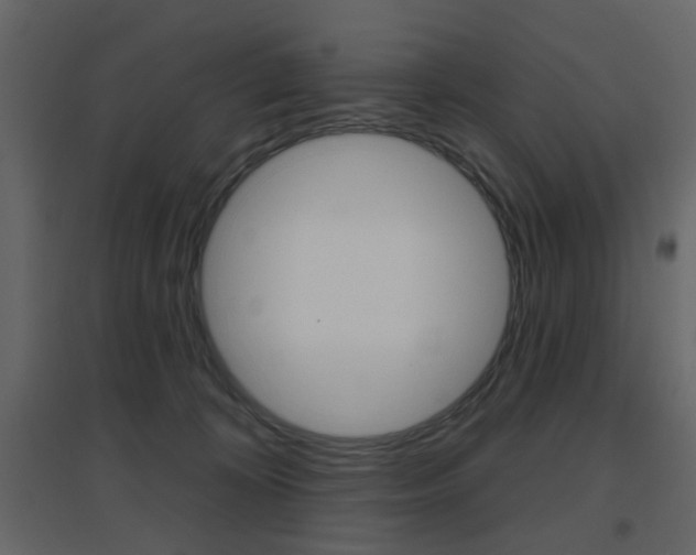 X0000096630324200802050940