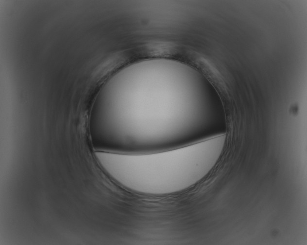 X0000096630325200802050940