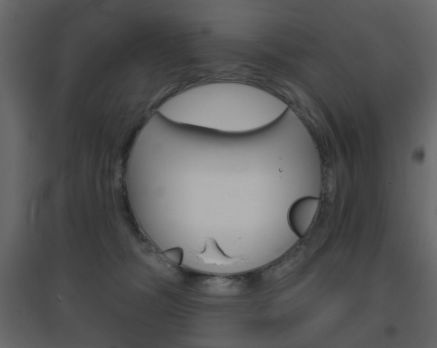 X0000096630326200802050940