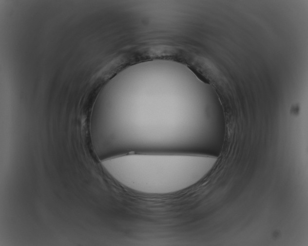 X0000096630327200802050940