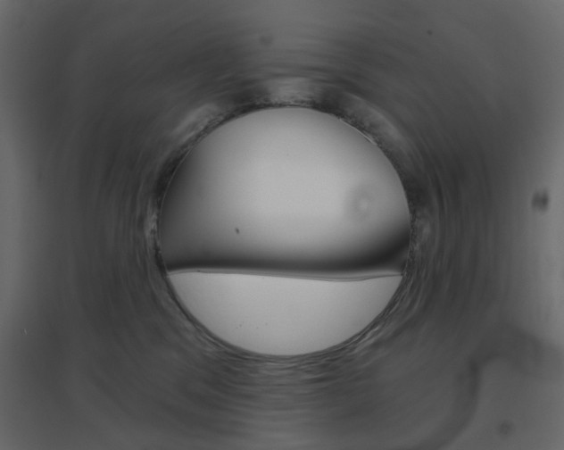 X0000096630329200802050940