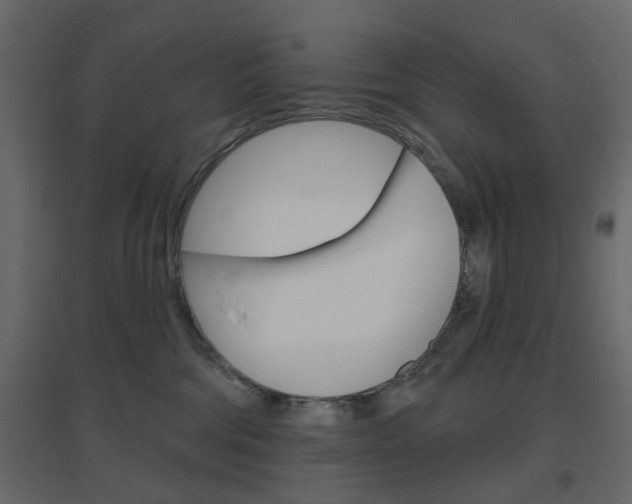 X0000096630330200802050940