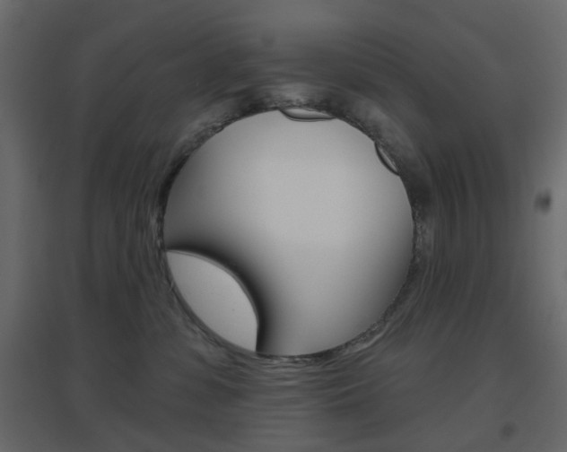 X0000096630331200802050940