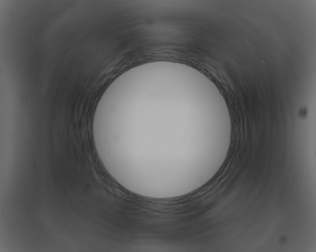 X0000096630332200802050940
