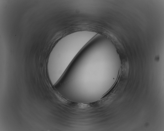 X0000096630333200802050940
