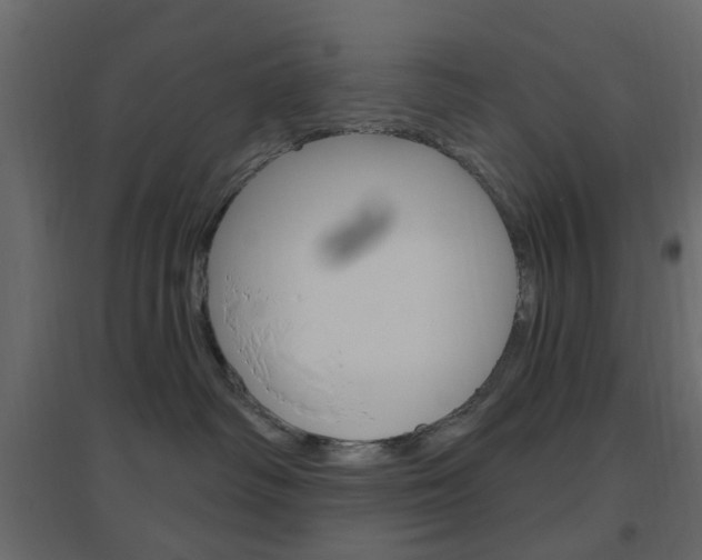 X0000096630334200802050940