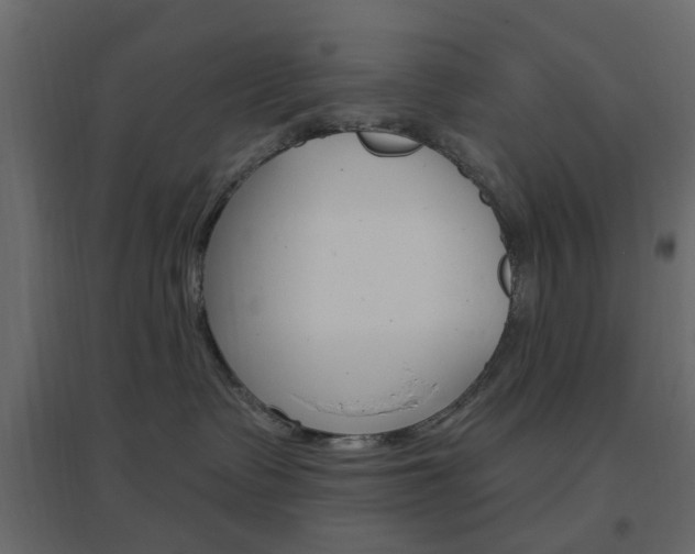 X0000096630335200802050940