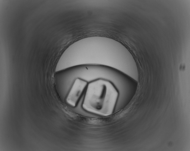 X0000096630336200802050940