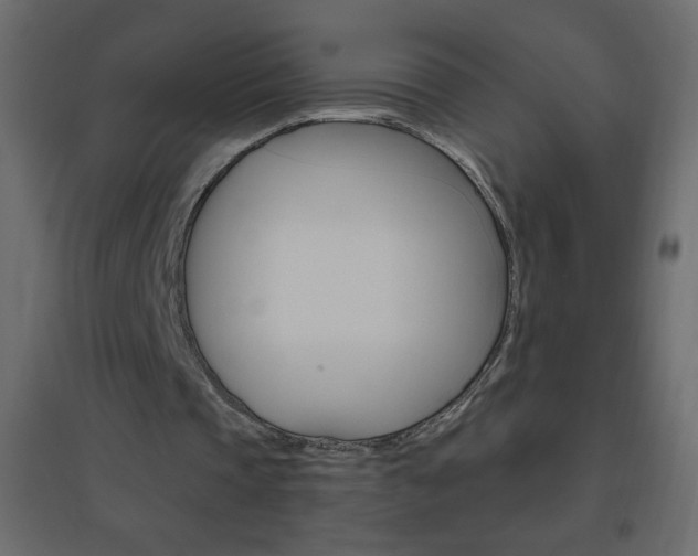 X0000096630337200802050939