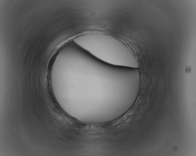 X0000096630338200802050939