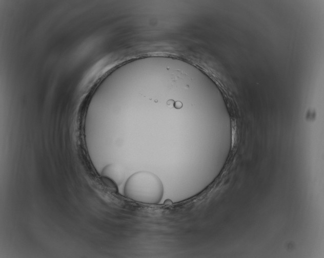 X0000096630339200802050939