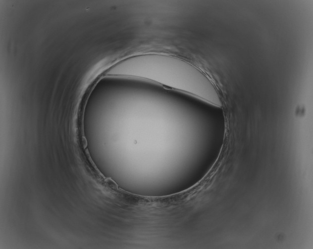 X0000096630340200802050939