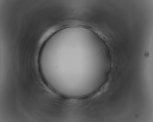 X0000096630341200802050939