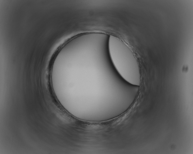 X0000096630342200802050939