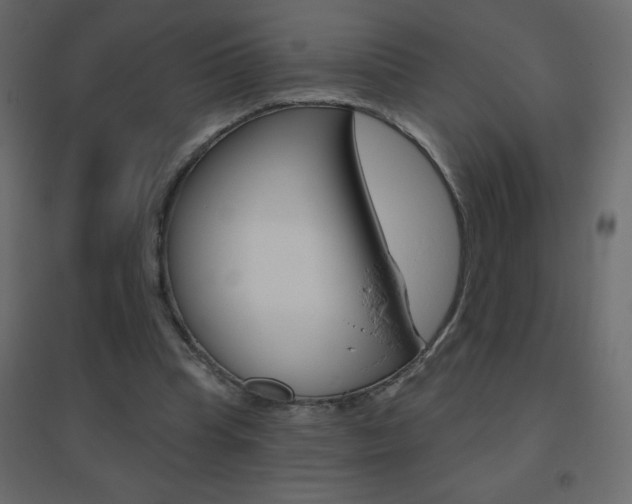 X0000096630345200802050939